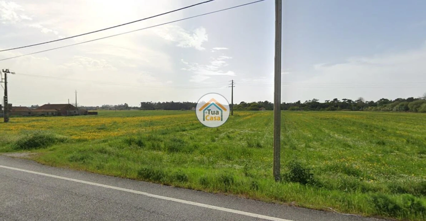 Terreno para Venda em Ovar, São João, Arada e São Vicente de Pereira Jusã Foto 4
