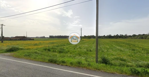 Terreno para Venda em Ovar, São João, Arada e São Vicente de Pereira Jusã