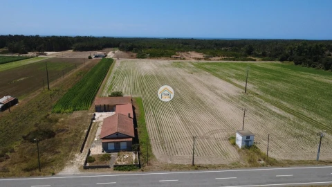 Terreno para Venda em Ovar, São João, Arada e São Vicente de Pereira Jusã