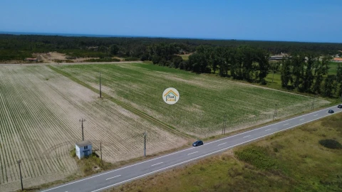 Terreno para Venda em Ovar, São João, Arada e São Vicente de Pereira Jusã