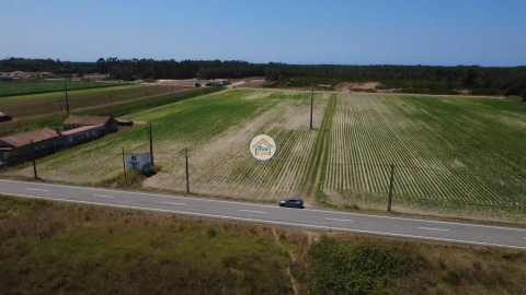 Terreno para Venda em Ovar, São João, Arada e São Vicente de Pereira Jusã