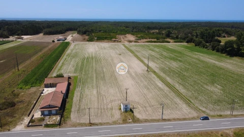 Terreno para Venda em Ovar, São João, Arada e São Vicente de Pereira Jusã