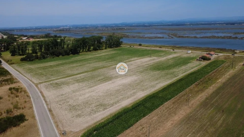 Terreno para Venda em Ovar, São João, Arada e São Vicente de Pereira Jusã