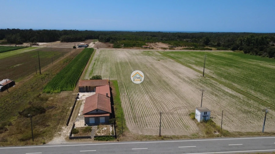 Terreno para Venda em Ovar, São João, Arada e São Vicente de Pereira Jusã Foto 9