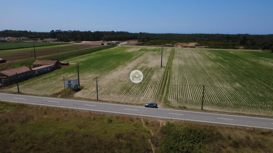 Terreno para Venda em Ovar, São João, Arada e São Vicente de Pereira Jusã Foto 7