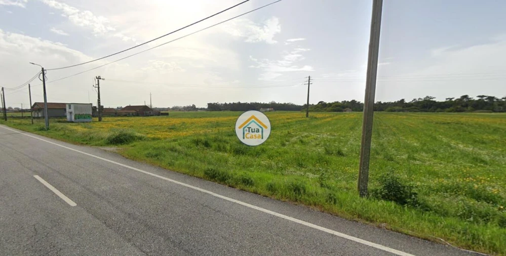 Terreno para Venda em Ovar, São João, Arada e São Vicente de Pereira Jusã Foto 5