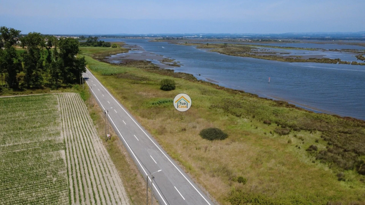 Terreno para Venda em Ovar, São João, Arada e São Vicente de Pereira Jusã Foto 13