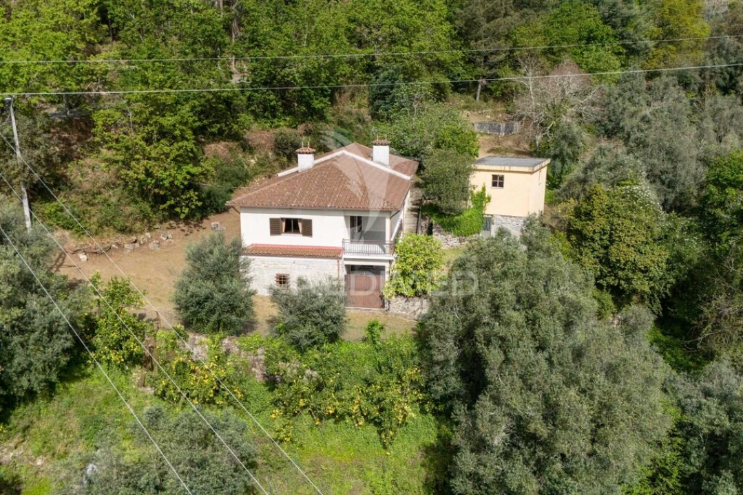 Moradia T3 para Venda em Vilela, Seramil e Paredes Secas Foto 3