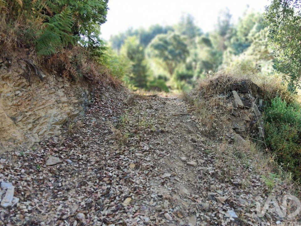 Moradia para Venda em Madeirã Foto 27