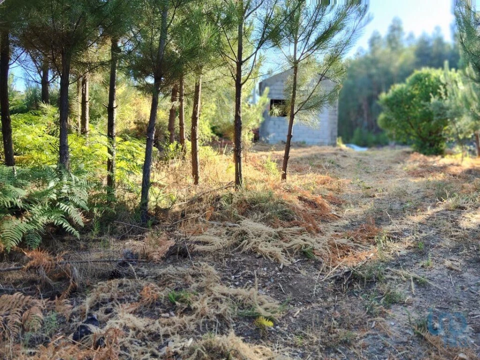 Moradia para Venda em Madeirã Foto 11