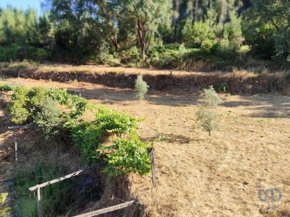 Moradia para Venda em Madeirã Foto 3