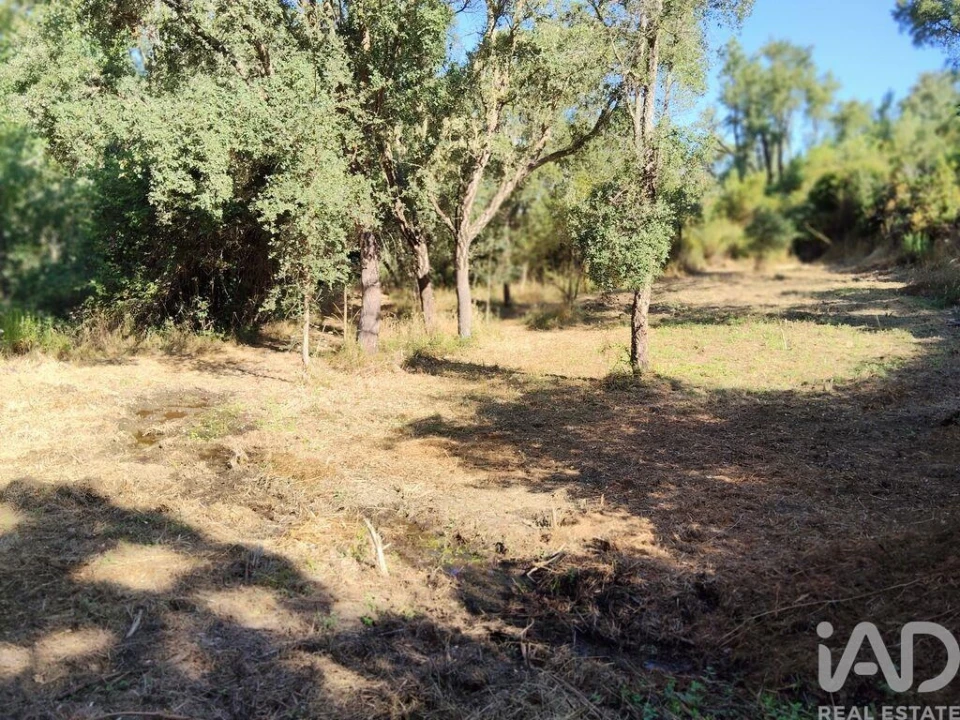 Moradia para Venda em Madeirã Foto 24