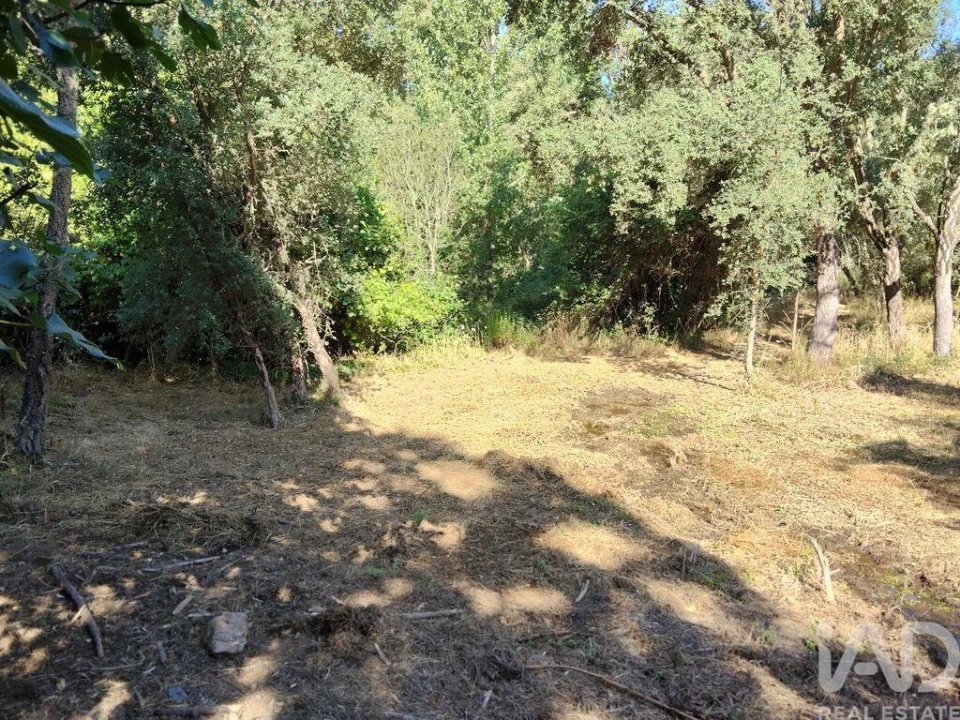 Moradia para Venda em Madeirã Foto 25