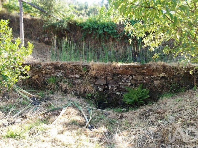 Moradia para Venda em Madeirã Foto 23