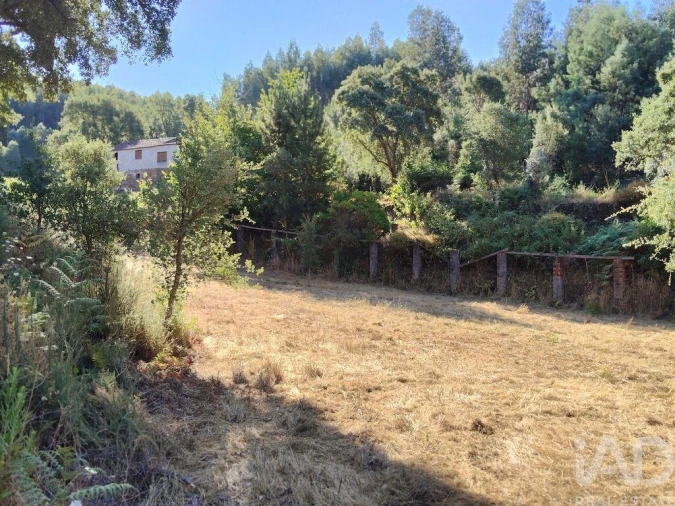 Moradia para Venda em Madeirã Foto 28