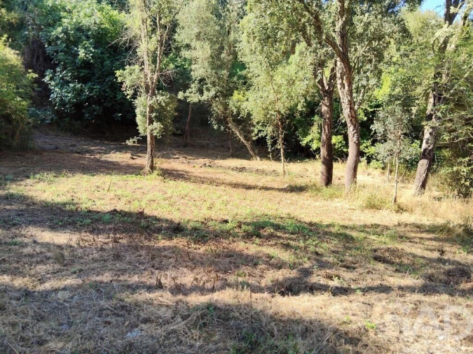 Moradia para Venda em Madeirã Foto 22