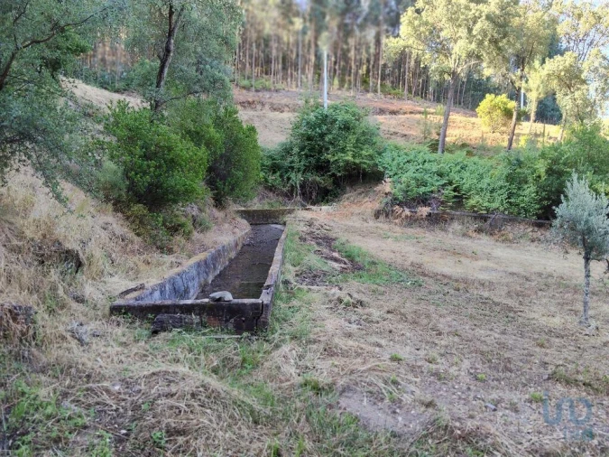 Moradia para Venda em Madeirã Foto 5