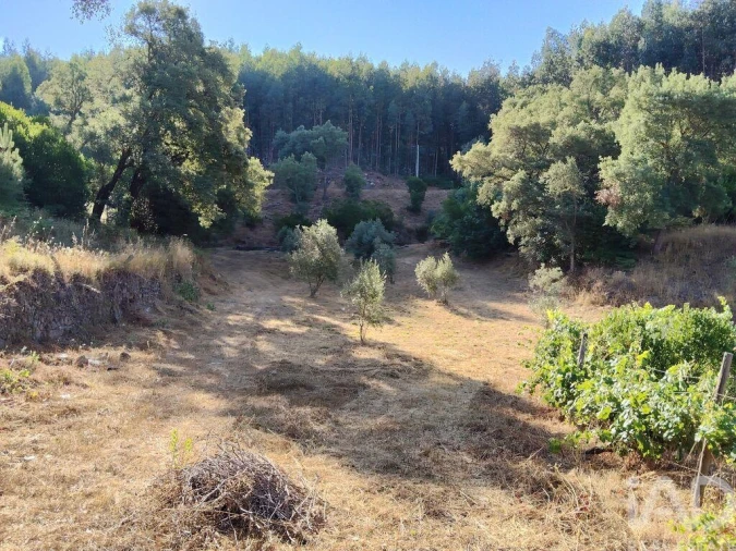 Moradia para Venda em Madeirã Foto 15