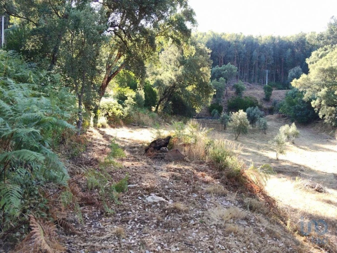 Moradia para Venda em Madeirã Foto 13