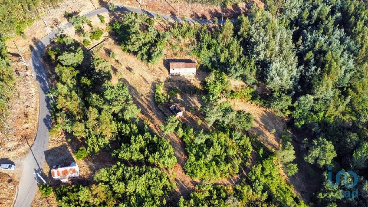 Moradia para Venda em Madeirã Foto 2