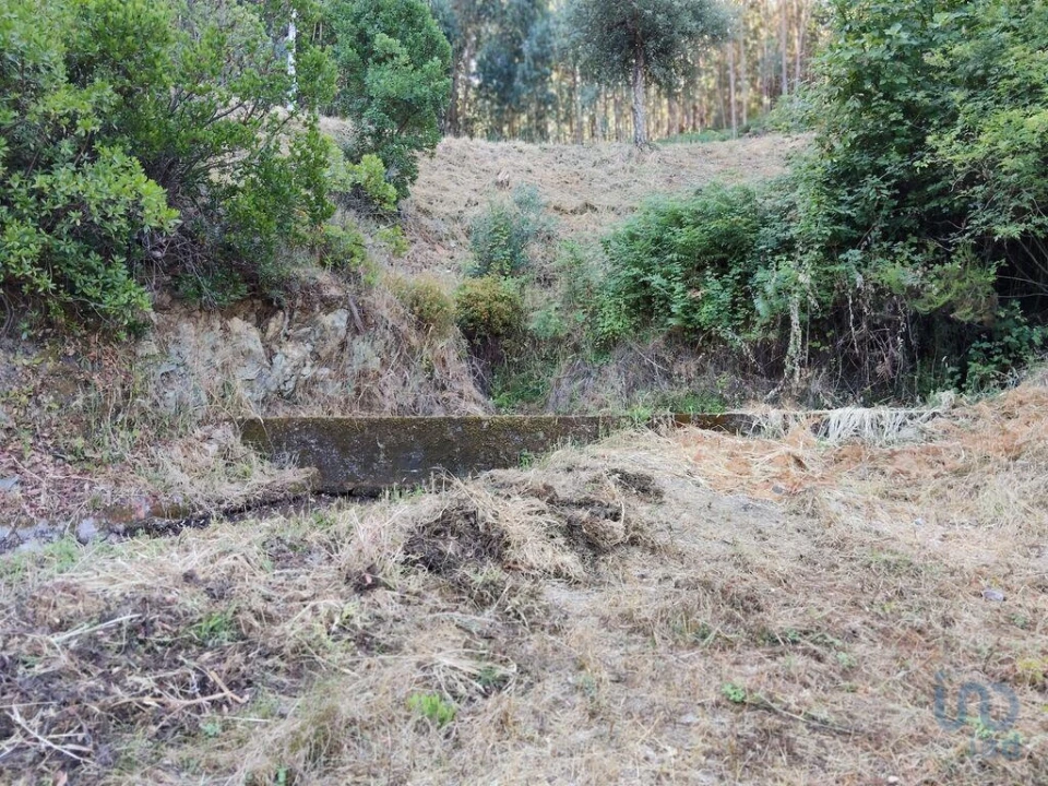 Moradia para Venda em Madeirã Foto 6