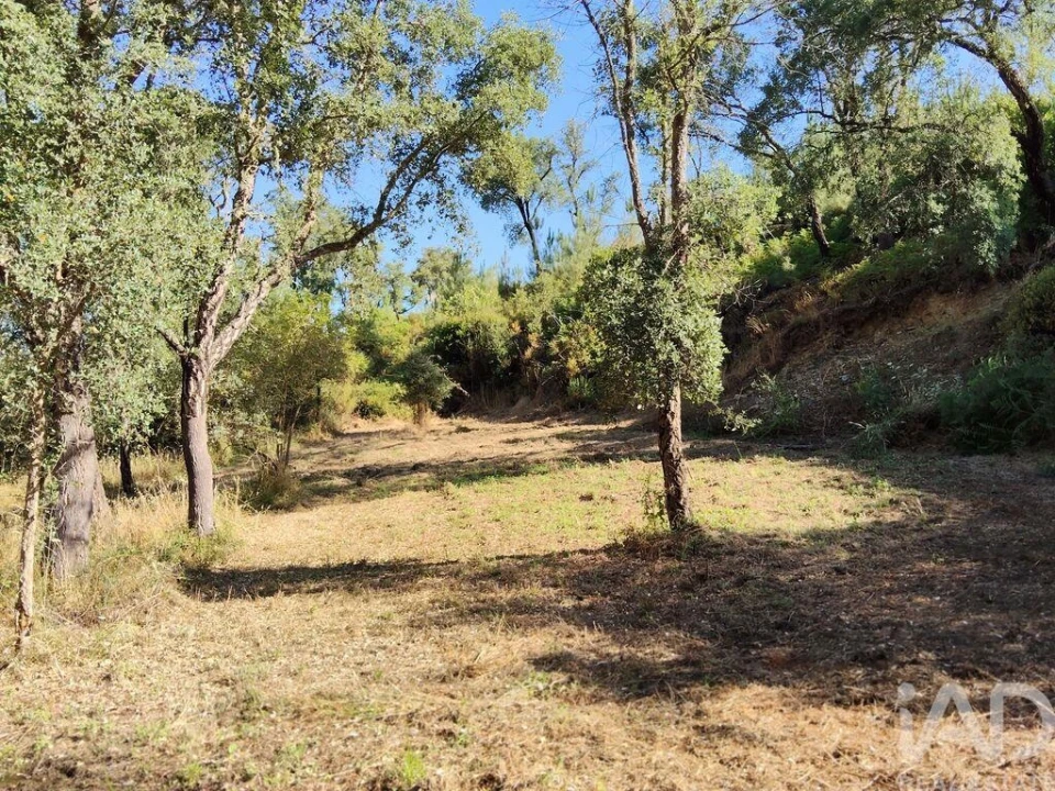 Moradia para Venda em Madeirã Foto 26