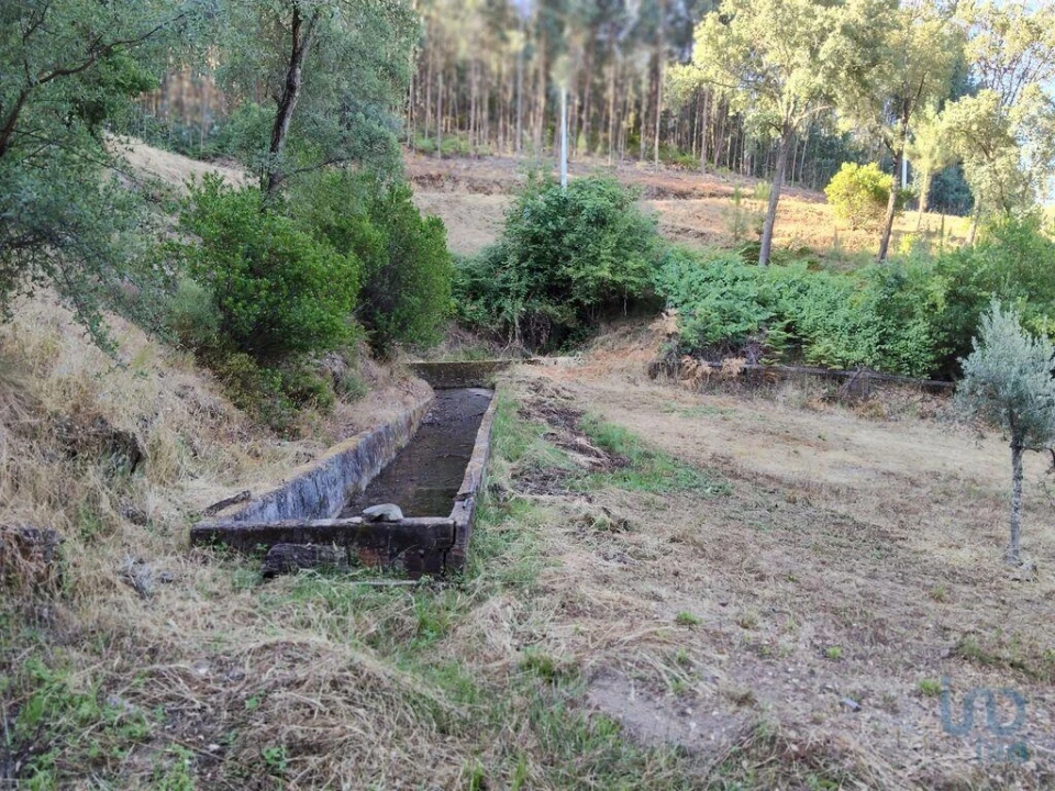 Moradia para Venda em Madeirã Foto 5