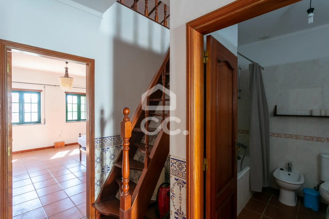 Prédio para Venda em Amareleja Foto 10