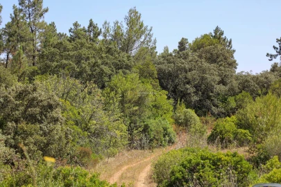 Terreno para Venda em Casével e Vaqueiros