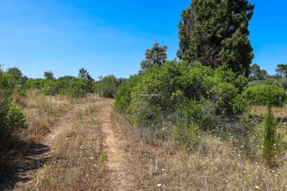 Terreno para Venda em Casével e Vaqueiros