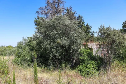 Terreno para Venda em Casével e Vaqueiros