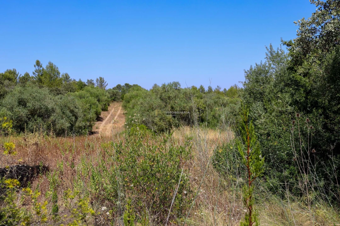 Terreno para Venda em Casével e Vaqueiros Foto 10