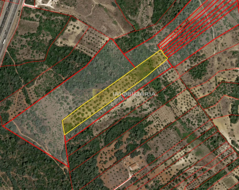 Terreno para Venda em Casével e Vaqueiros Foto 1