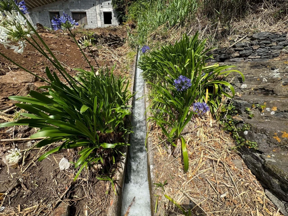 Terreno para Venda em Fajã da Ovelha Foto 23