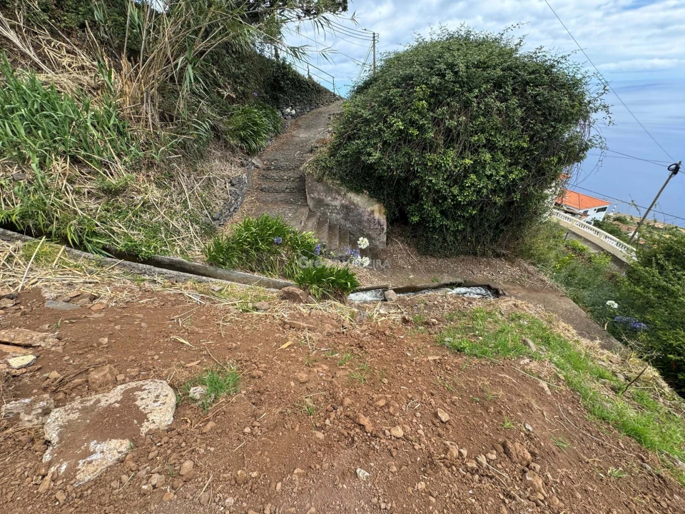 Terreno para Venda em Fajã da Ovelha Foto 29