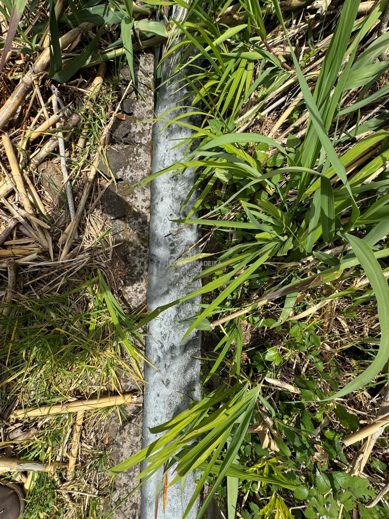 Terreno para Venda em Fajã da Ovelha Foto 30