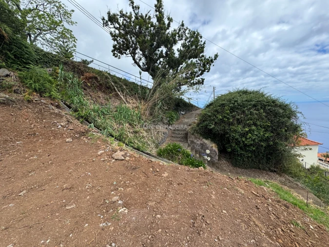 Terreno para Venda em Fajã da Ovelha Foto 33