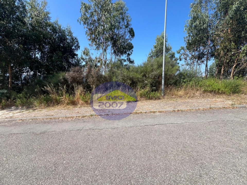Terreno para Venda em Canedo, Vale e Vila Maior Foto 23