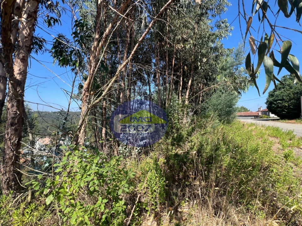 Terreno para Venda em Canedo, Vale e Vila Maior Foto 38