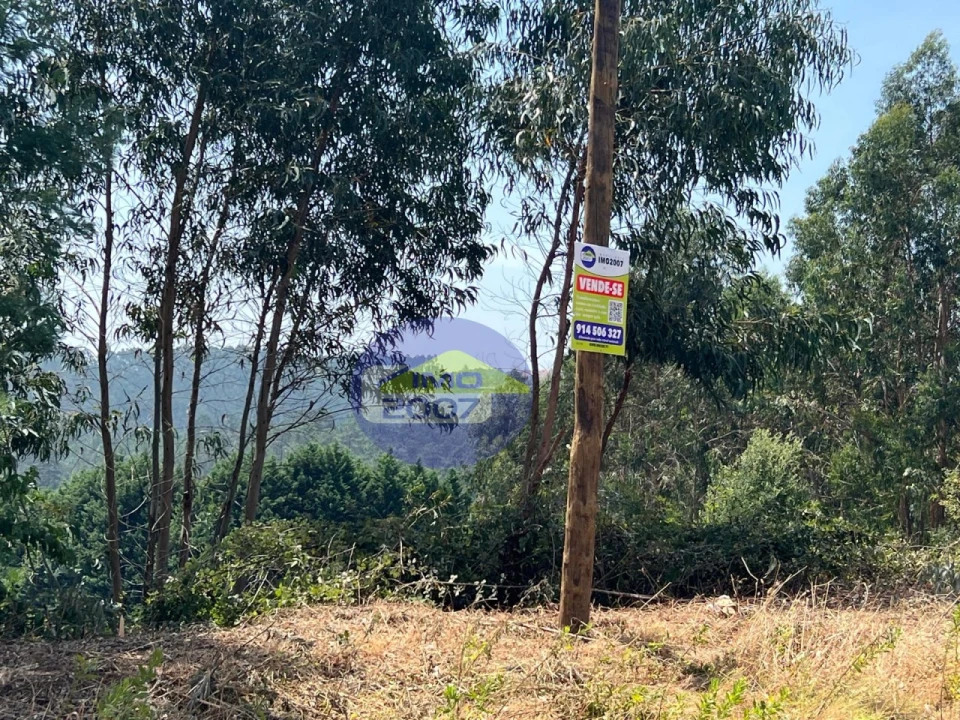 Terreno para Venda em Canedo, Vale e Vila Maior Foto 9