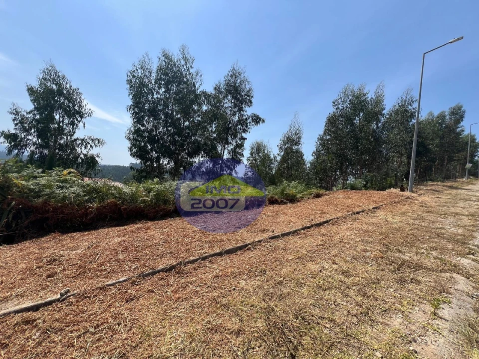 Terreno para Venda em Canedo, Vale e Vila Maior Foto 16