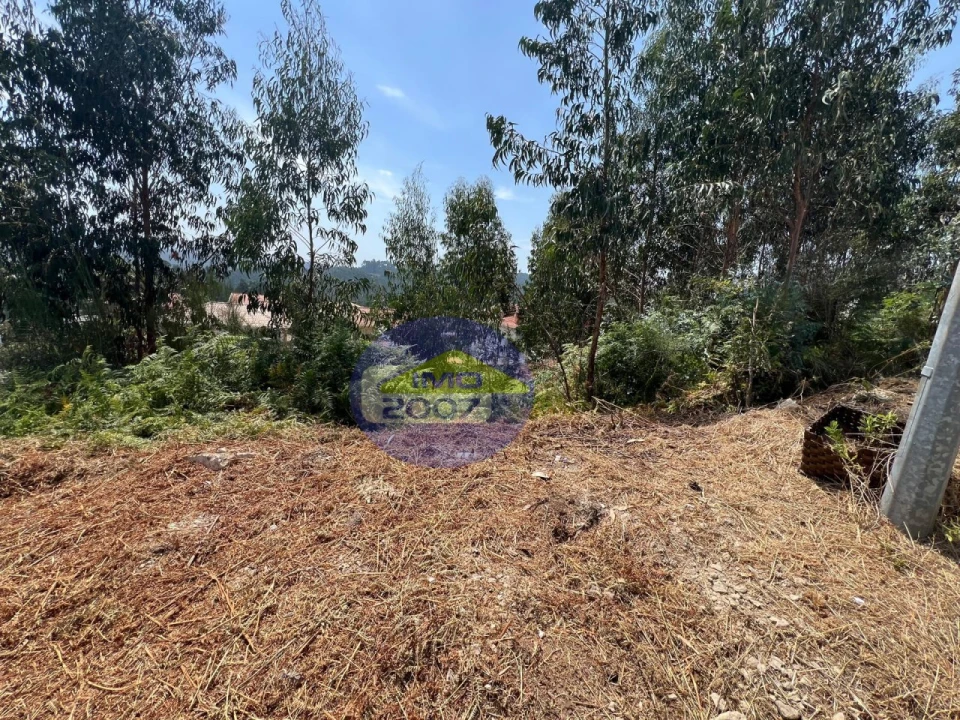 Terreno para Venda em Canedo, Vale e Vila Maior Foto 44