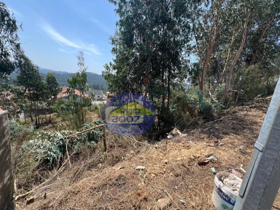 Terreno para Venda em Canedo, Vale e Vila Maior Foto 50