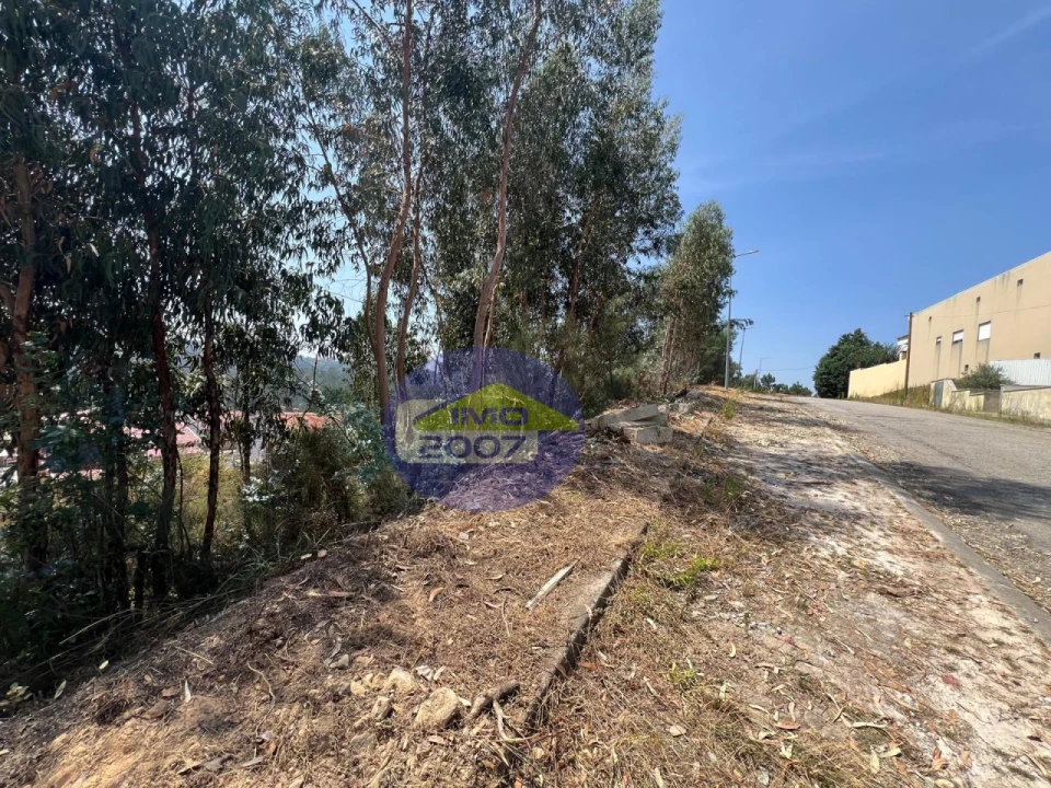 Terreno para Venda em Canedo, Vale e Vila Maior Foto 53