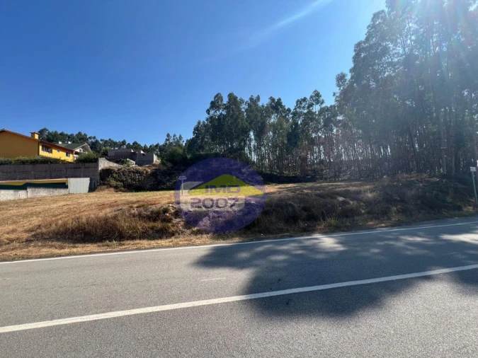 Terreno para Venda em Canedo, Vale e Vila Maior Foto 13