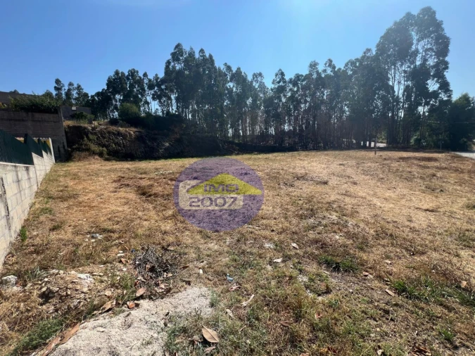 Terreno para Venda em Canedo, Vale e Vila Maior Foto 14