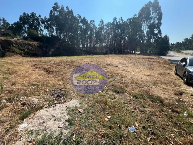 Terreno para Venda em Canedo, Vale e Vila Maior Foto 15