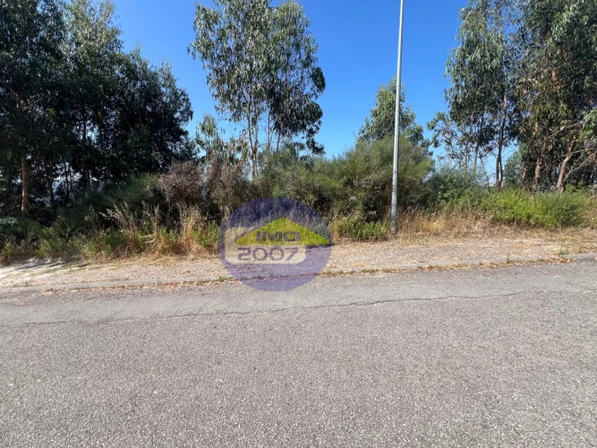 Terreno para Venda em Canedo, Vale e Vila Maior Foto 23