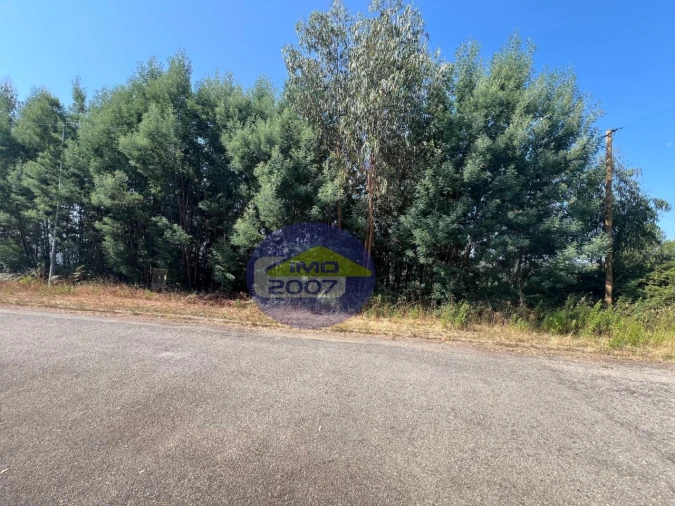 Terreno para Venda em Canedo, Vale e Vila Maior Foto 31
