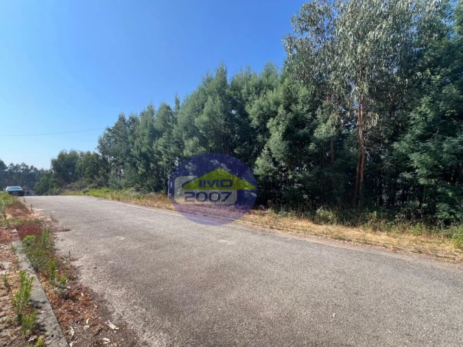 Terreno para Venda em Canedo, Vale e Vila Maior Foto 32